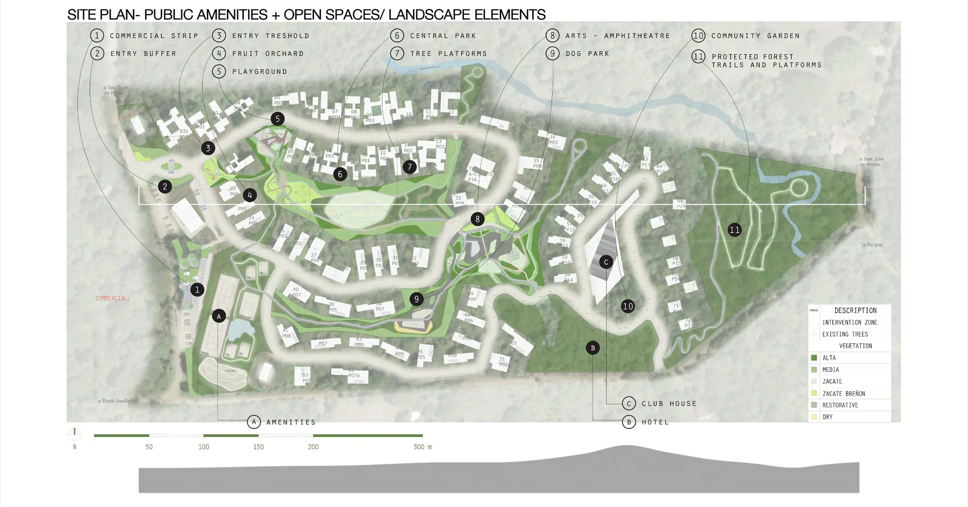 Playa Avellanas Residential Development
