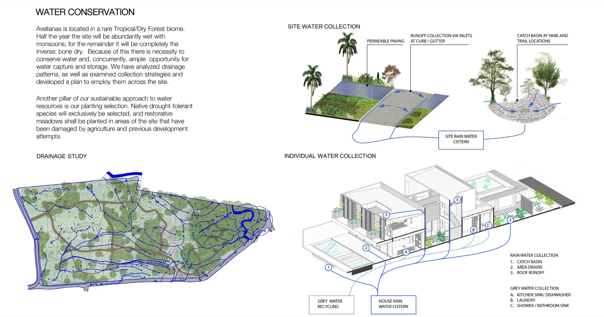 Playa Avellanas Residential Development